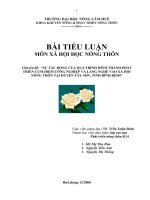 Sự tác động của quá trình hình thành và phát triển cụm điểm công nghiệp và làng nghề vào xã hội nông thôn tại huyện Tây Sơn, tỉnh Bình Định