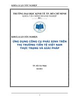 Ứng dụng công cụ phái sinh trên thị trường tiền tệ việt nam thực trạng và giải pháp