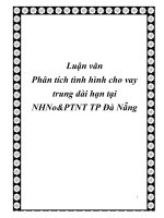 Phân tích tình hình cho vay trung dài hạn tại ngân hàng nông nghiệp và PT nông thôn TP Đà Nẵng