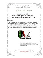 Chuyên Đề Hãy trình bày các hiểu biết của bạn về sàng phân loại