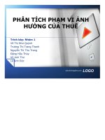 Bài thuyết trình Phân tích phạm vi ảnh hưởng của thuế