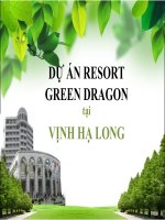 Bài thuyết trình TÀI CHÍNH DOANH NGHIỆP ĐỀ TÀI DỰ ÁN RESORT TẠI VỊNH HẠ LONG