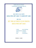 KỸ THUẬT PHÂN CỤM TRONG KHAI PHÁ DỮ LIỆU