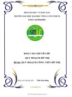 Tiểu Luận Quy hoạch công viên đô thị