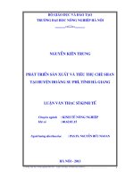 Phát triển sản xuất và tiêu thụ chè Shan tại Huyện Hoàng Su Phì, Tỉnh Hà Giang