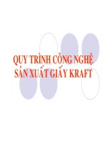 slide thuyết trình Tiểu Luận CÔNG NGHỆ SẢN XUẤT GIẤY KRAFT+ kèm file ppt