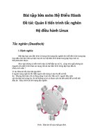 Bài tập lớn môn Hệ Điều Hành Báo Cáo Quản lí tiến trình tắc nghẽn Hệ điều hành Linux