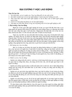 Đại cương y học lao động