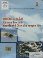 Hướng dẫn xử lý và bảo quản nhuyễn thể chân đầu nguyên liệu