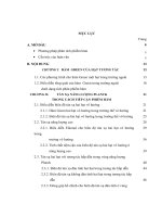 Ứng dụng phương pháp tích phân phiếm hàm để nghiên cứu một số vấn đề tương tác của lý thuyết trường lượng tử