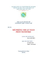 MÔ PHỎNG THUẬT TOÁN PHÂN MẢNH DỌC