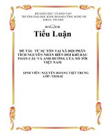 Tiểu Luận Từ sự tồn tại xã hội phân tích nguyên nhân biến đổi khí hậu toàn cầu và anh hưởng củ