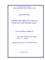 Giải pháp phát triển cây ăn quả tại Huyện Lục Ngạn, Tỉnh Bắc Giang