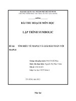 TÌM HIỂU VỀ MAPLE VÀ GIẢI BÀI TOÁN VỚI MAPLE