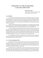 Ảnh hưởng của việc đào hố móng và hạ mực nước ngầm