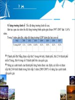 slide thành phố Đà Nẵng về môi trường và sự phát triển bền vững