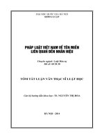 TÓM TẮT LUẬN VĂN THẠC SĨ PHÁP LUẬT VIỆT NAM VỀ TÊN MIỀN LIÊN QUAN ĐẾN NHÃN HIỆU