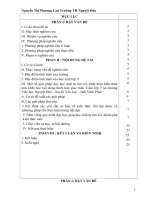 MỘT SỐ GIẢI PHÁP DẠY HỌC SINH TỰ TÌM TÒI, PHÁT HIỆN KIẾN THỨC MỚI KHI HỌC NỘI DUNG HÌNH TAM GIÁC – MÔN TOÁN LỚP 5