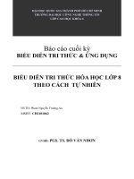 BIỂU DIỄN TRI THỨC HÓA HỌC LỚP 8 THEO CÁCH TỰ NHIÊN