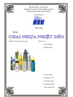 Tiểu Luận Quy trình sản xuất chai nhựa nhiệt dẻo