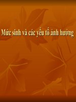 slide mức sinh và các yếu tố ảnh hưởng