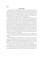 Khóa luận tìm hiểu thủ tục giải quyết yêu cầu tuyên bố phá sản doanh nghiệp