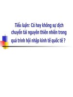 Tiểu Luận Có hay không sự dịch chuyển tài nguyên thiên nhiên trong quá trình hội nhập kinh tế quốc tế