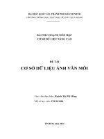 Tiểu luận môn cơ sở dữ liệu nâng cao CƠ SỞ DỮ LIỆU ẢNH VÂN MÔI