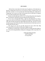 Định hướng phát triển thương hiệu cho công ty cổ phần TMT