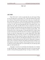 HIẾN LƯỢC THỰC THI MỘT CHƯƠNG TRÌNH LUẬT CỦA CSDL SUY DIỄN