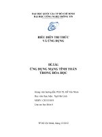 ỨNG DỤNG MẠNG TÍNH TOÁN TRONG HÓA HỌC