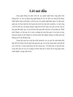 ỨNG DỤNG MAPLE ĐỂ GIẢI CÁC BÀI TOÁN TRONG MA TRẬN