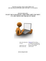 FUZZY METAGRAPH DỰA TRÊN BIỂU DIỄN TRI THỨC CỦA HỆ THỐNG HỖ TRỢ QUYẾT ĐỊNH