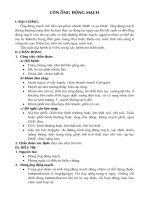 Tài liêu về còn ống động mạch