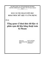 Tổng quan về khai thác dữ liệu và phân cụm dữ liệu bằng thuật toán K-Means
