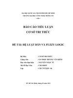 HỆ LUẬT DẪN VÀ FUZZY LOGIC