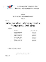Tiểu Luận Sử dụng năng lượng hạt nhân vì mục đích hòa bình (nhóm 6)