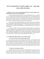 Sự cố kích ống từ giếng nhiêu lộc, thị nghè sang giếng bờ đông