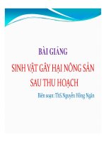 Bài giảng sinh vật gây hại nông sản sau thu hoạch