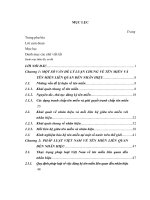 pháp luật việt nam về tên miền liên quan đến nhãn hiệu