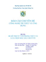 HỆ HỖ TRỢ TƯ VẤN PHONG THỦY VÀ LỰA CHỌN MÀU SẮC CHO Ô TÔ