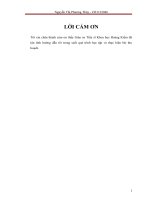 ỨNG DỤNG CỦA SOM TRONG PHÂN LOẠI HẠNG TÍN DỤNG CREDIT RATING