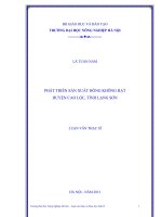 Phát triển sản xuất hồng không hạt Huyện Cao Lộc, Tỉnh Lạng Sơn