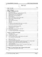 Luận Văn Tìm hiểu về phụ gia chất chồng tạo bọt và chống đông vón