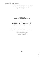 Tiểu luận môn cơ sở dữ liệu nâng cao KHÓA LUẬN TÌM ĐỒ THỊ CON ĐẲNG CẤU