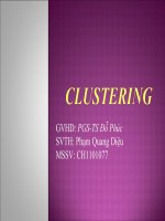 Tiểu luận môn cơ sở dữ liệu nâng cao CLUSTERING