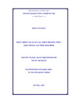 Phát triển sản xuất lúa theo phương thức gieo thẳng tại Tỉnh Thái Bình