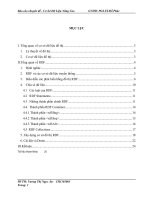 Tiểu luận môn cơ sở dữ liệu nâng cao Biểu diễn các phát biểu bằng đồ thị RDF