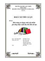 Tiểu Luận Khả năng của vi sinh vật nhằm gia tăng hiệu suất thu hồi dầu tái tạo