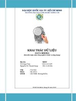 Bài tiểu luận môn Công nghệ tri thức và ứng dụng Khai thác dữ liệu